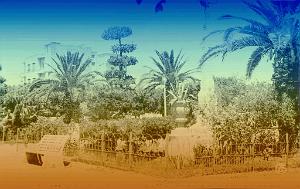 RELIZANE 530  JARDINS DE LA POSTE 